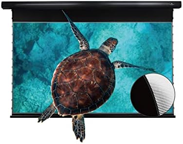 VIVIDSTORM-Projection Screen，PRO Slimline Motorized Office Presentation，Remote Controlled Drop Down Screen，Color Display Feature，Compatible with 4K Ultra Short Throw Laser Projector，VBMSLUST120H